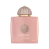 عطر آمواج گایدنس | Amouage Guidance