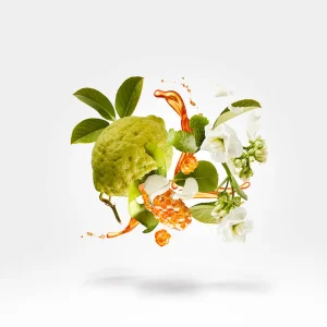عطر زرژف نکسوس | Xerjoff Naxos